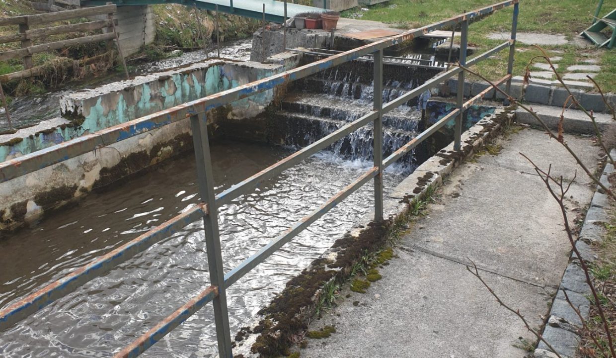 IMG-a6b782eb7b5637a62a14f63776423afa-V