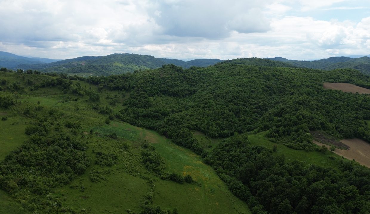 DCIM100MEDIADJI_0436.JPG
