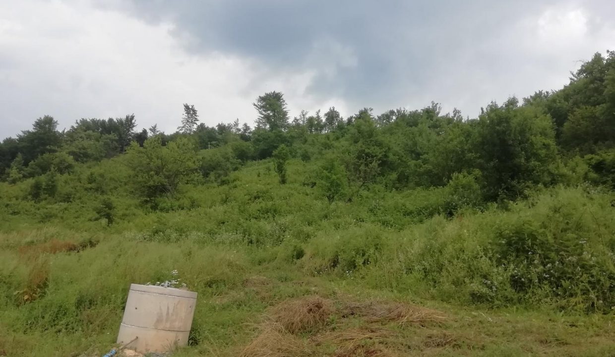 IMG-20250309-WA0017