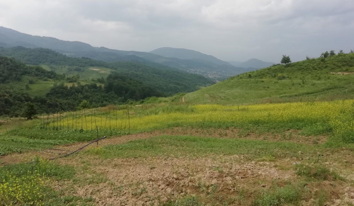 IMG-20250309-WA0020