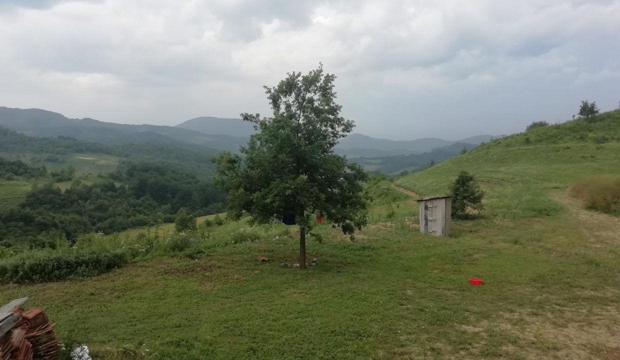 IMG-20250309-WA0024