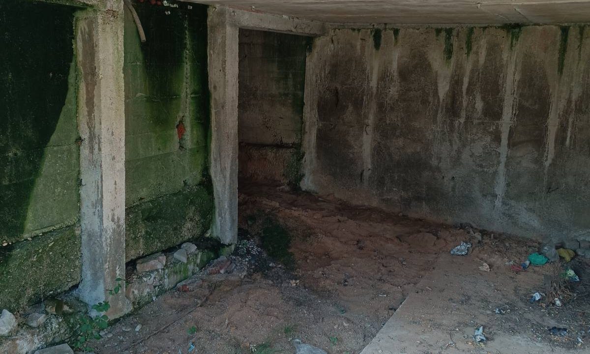 IMG-c45cc9a9ec4d9fcdcdb2da15fe8fa335-V