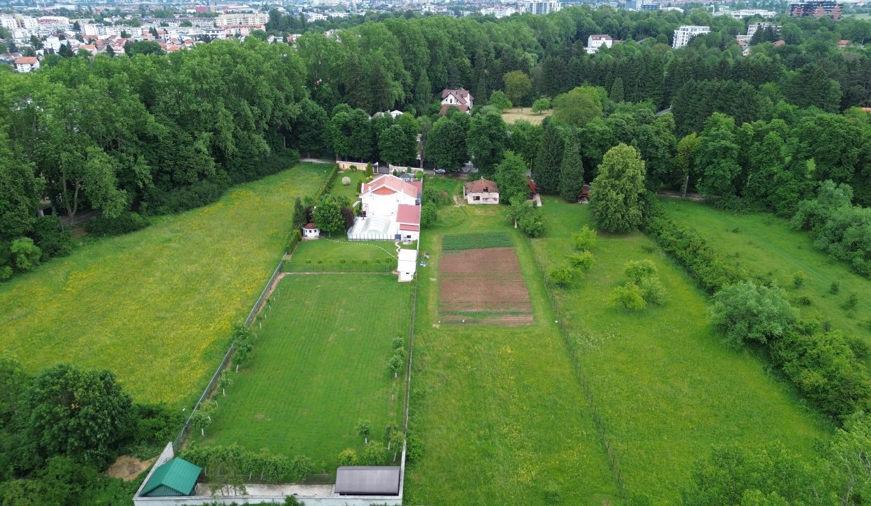 DCIM100MEDIADJI_0710.JPG