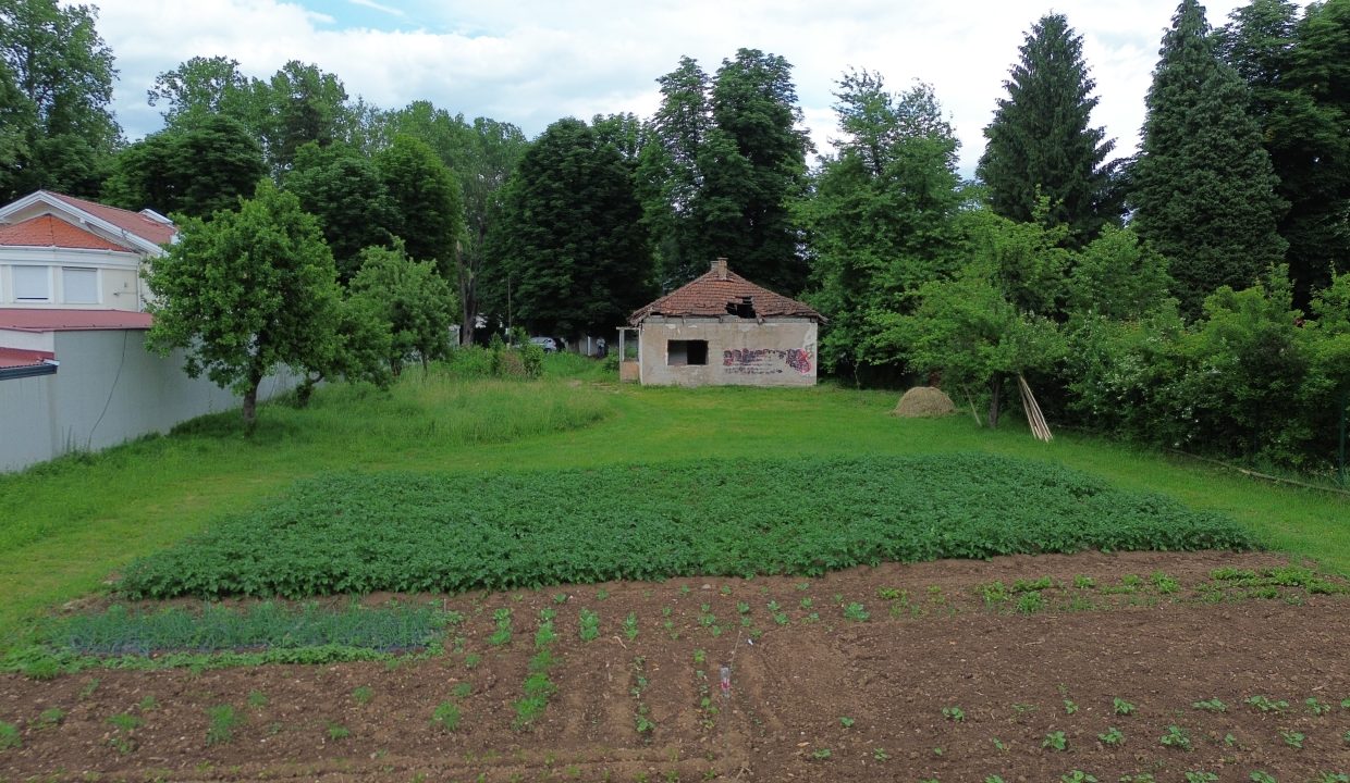 DCIM100MEDIADJI_0719.JPG