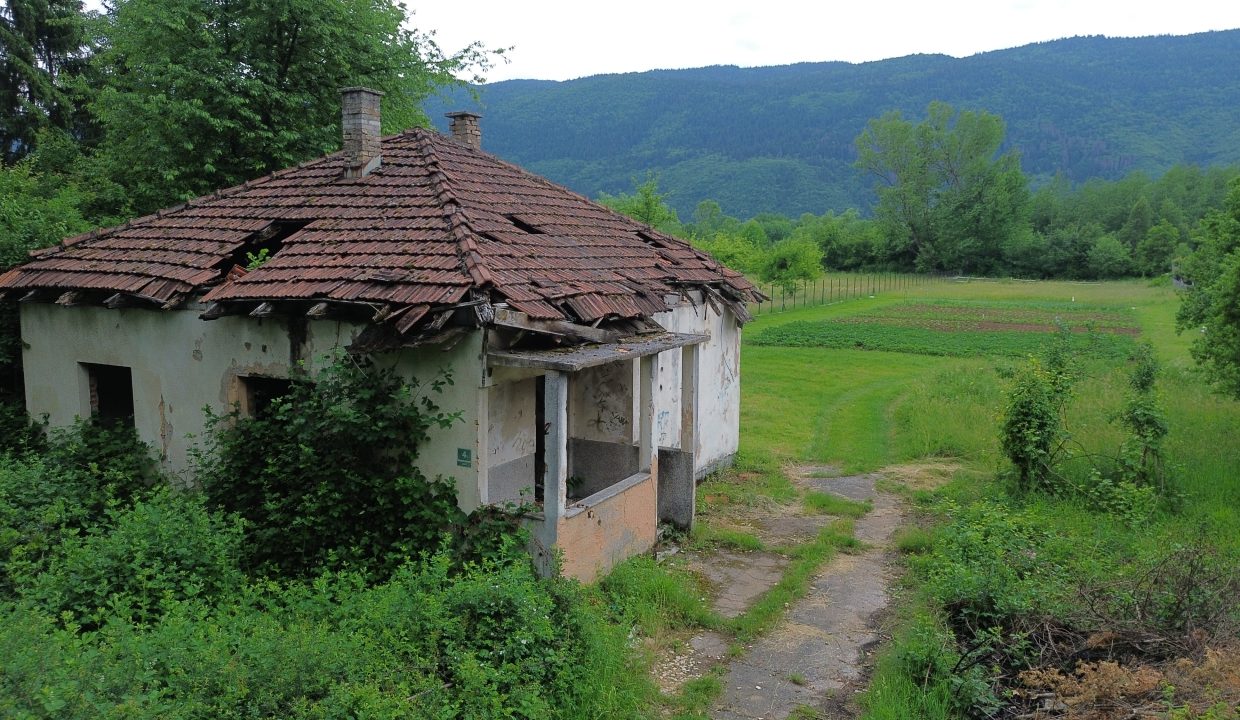 DCIM100MEDIADJI_0727.JPG