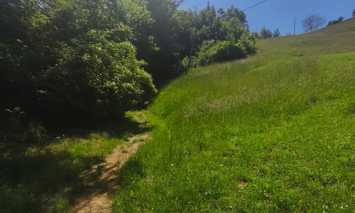 IMG-20260526-WA0046